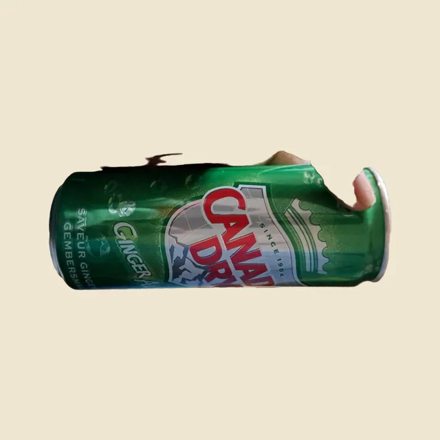CANADA DRY
