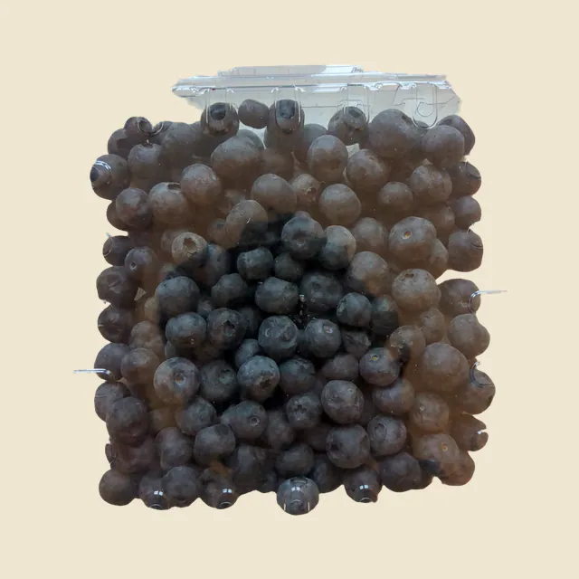 Blueberry