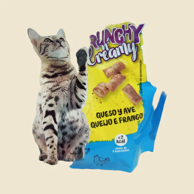 Cat nibbles