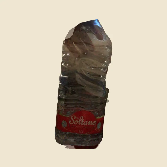 Ain soltane