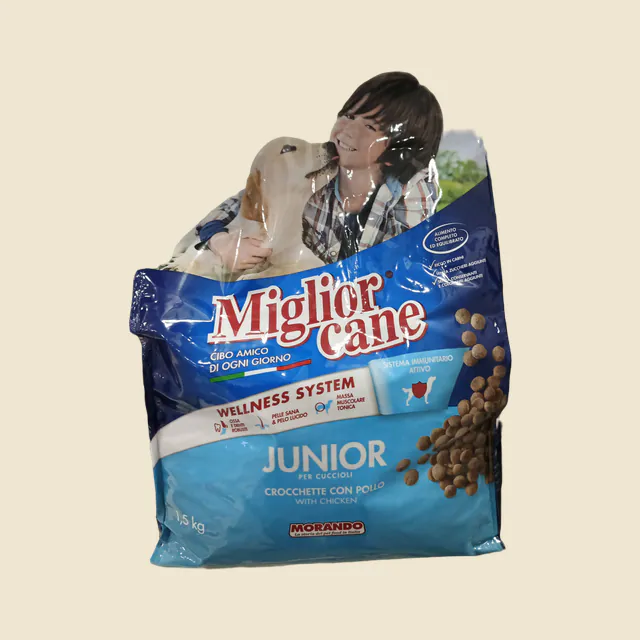 Miglior cane Junior